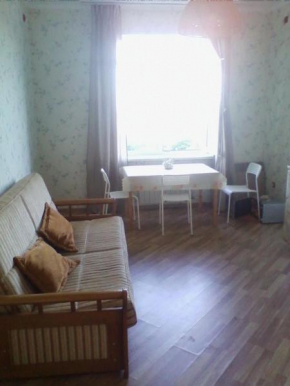 Apartment on ulitsa Kholostyakova